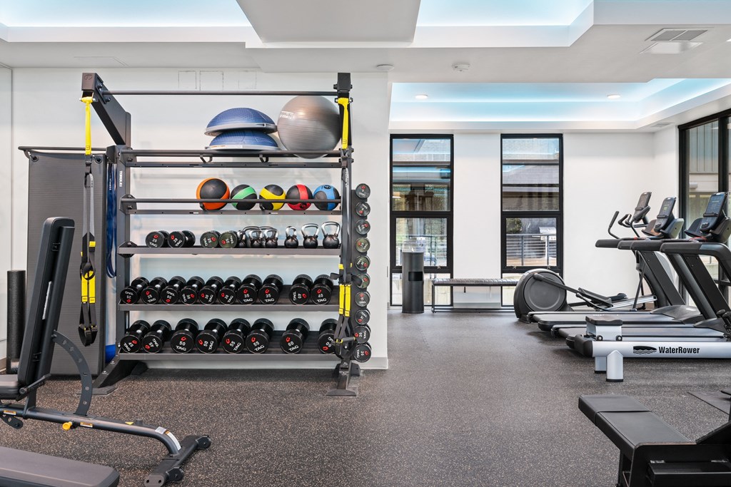 a gym with weights and cardio machines and a rack of spheres on the wall