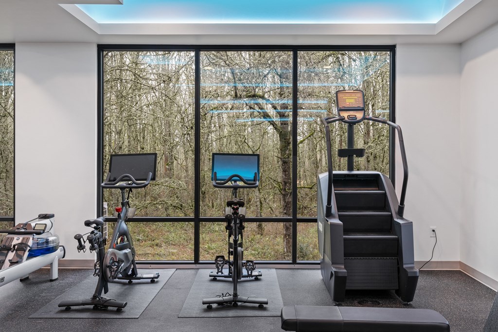 a gym with exercise equipment and window views of the woods