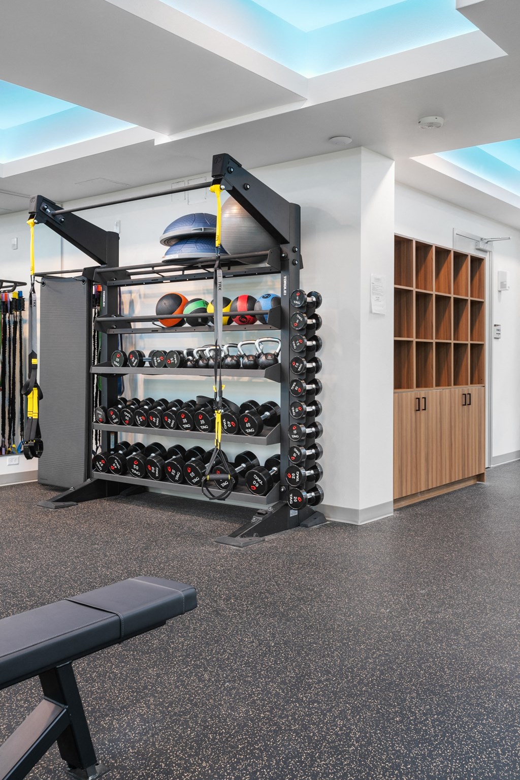 a fitness room with a rack of dumbbells and a bench