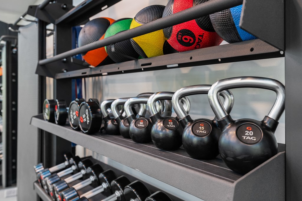 a row of dumbbells on a shelf in a gym