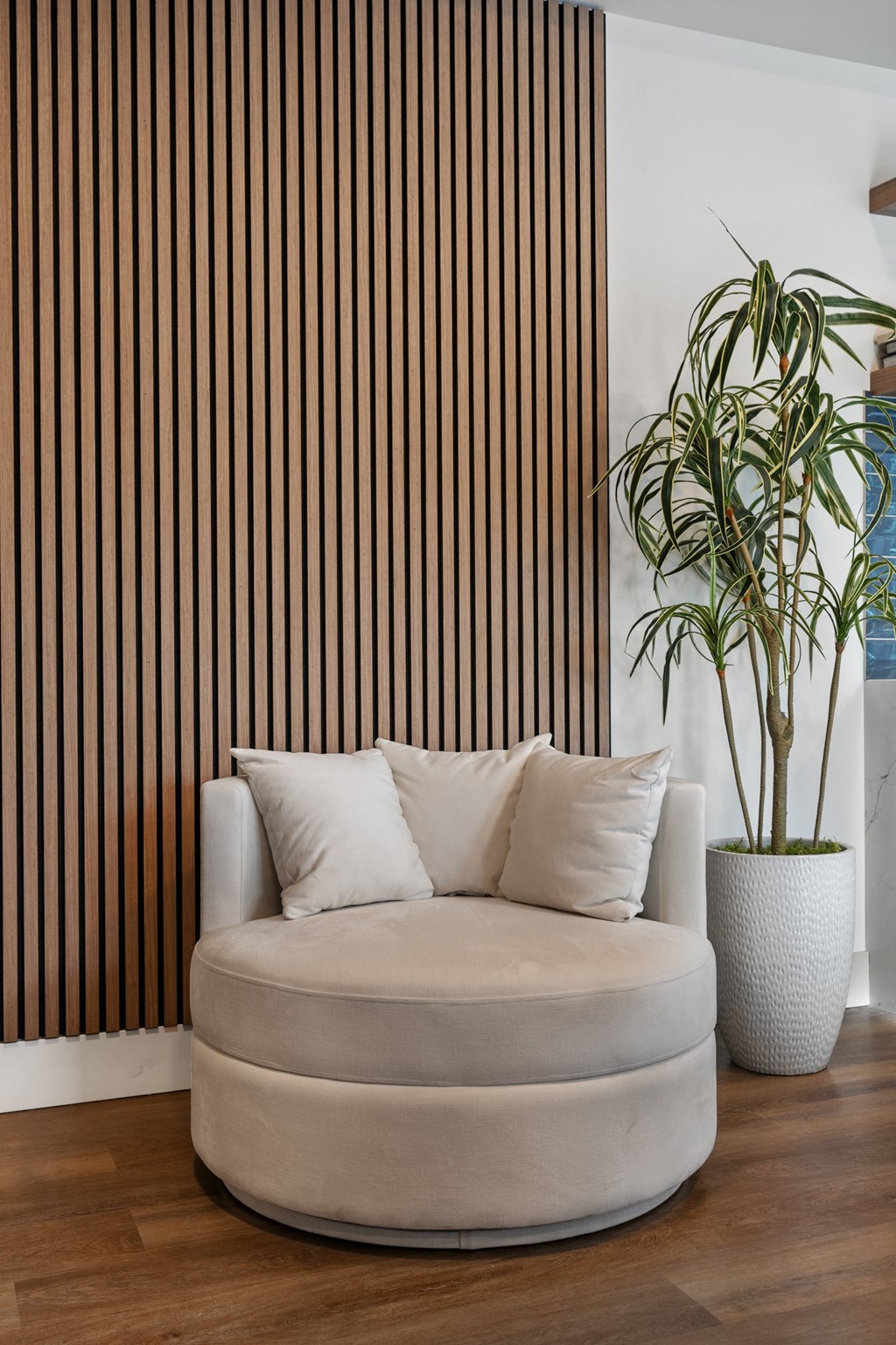a living room with a couch and a potted plant