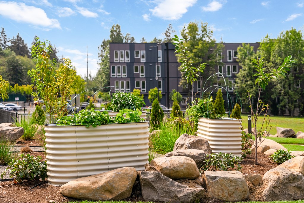 a garden with rocks and plants and a building in the background