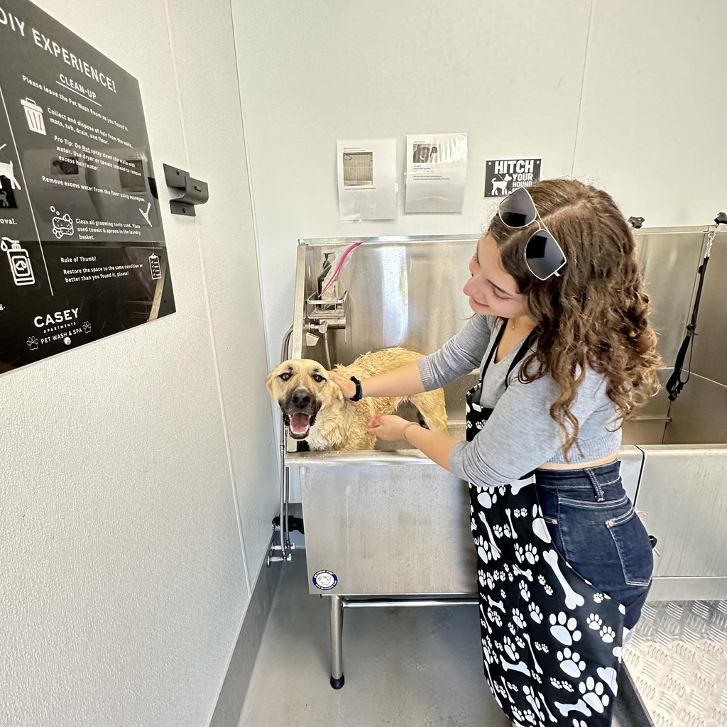 a woman is washing a dog in a sink