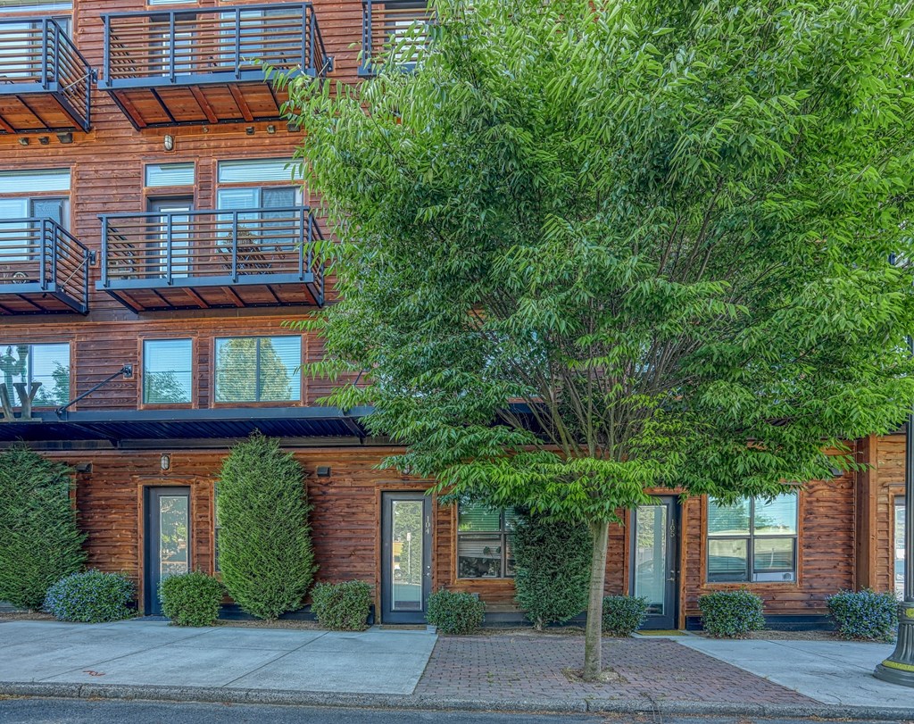 a tree in front of a brick apartment building
