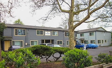 A grey apartment building with a tree in front.