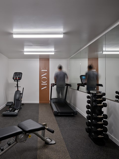 A gym with a treadmill, a bench and a dumbbell rack.