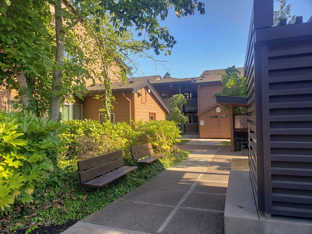 a pathway between two benches in front of houses