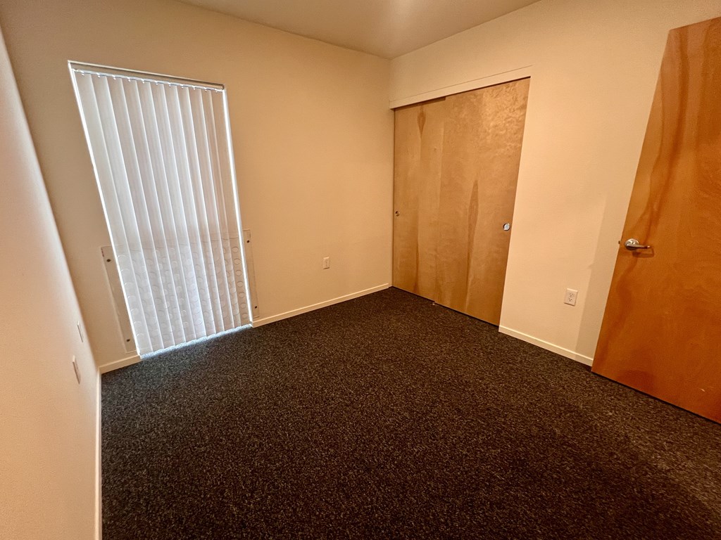 A room with a carpeted floor, a wooden door, and a window with blinds.