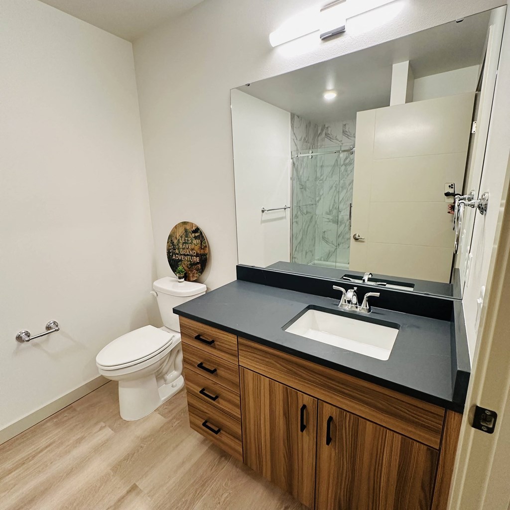 a bathroom with a sink and a toilet