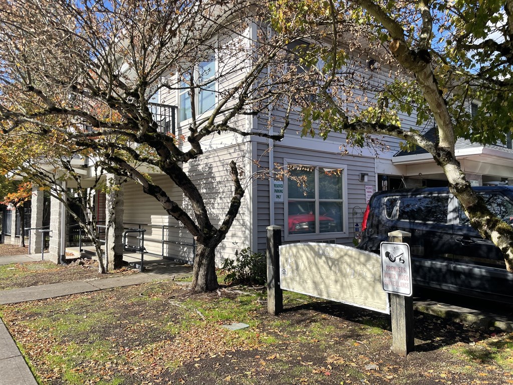 A tree with no leaves stands in front of a house.