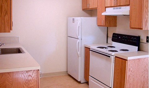 A white refrigerator and stove in a kitchen with wooden cabinets.
