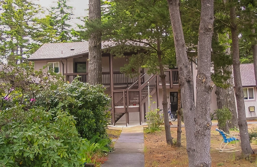 a house with trees and a sidewalk in front of it