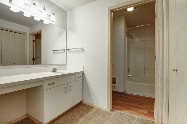 a bathroom with a sink and a mirror and a shower