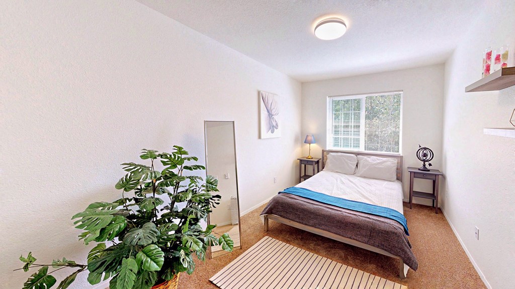 a bedroom with a bed and a plant