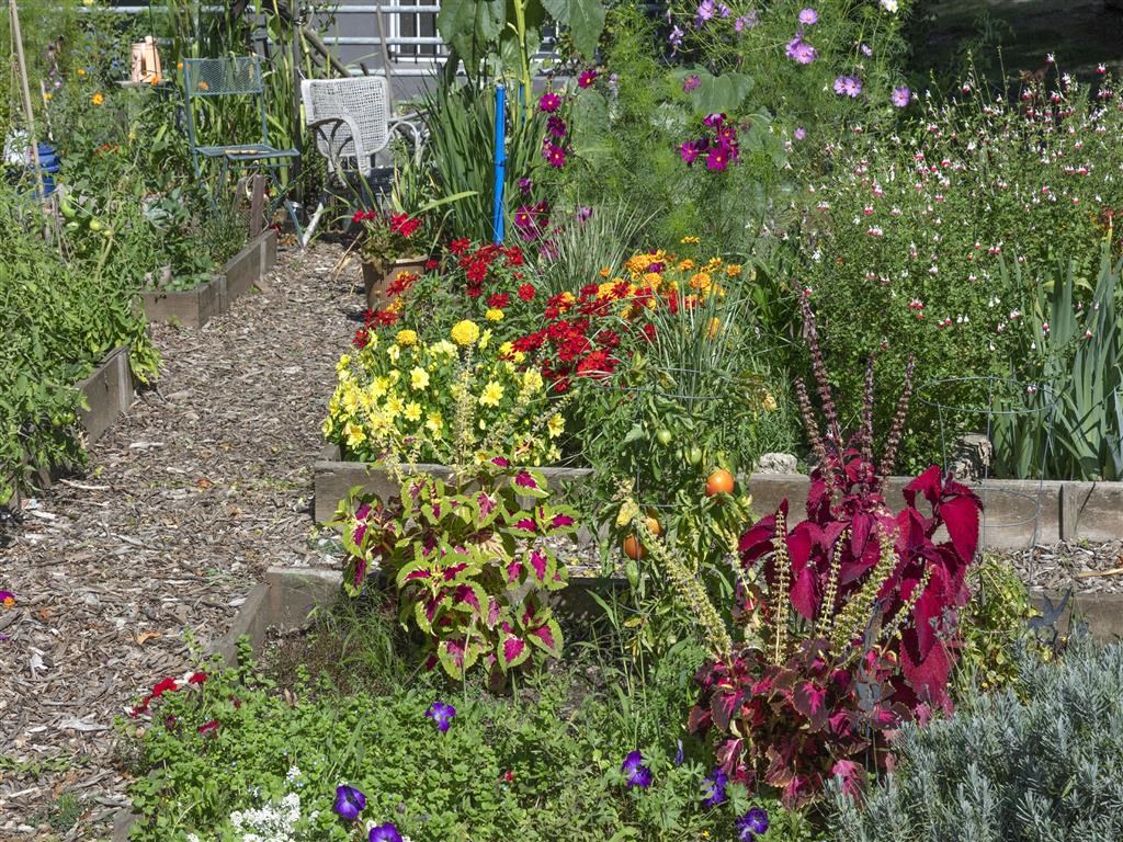 a garden with many different types of flowers in it