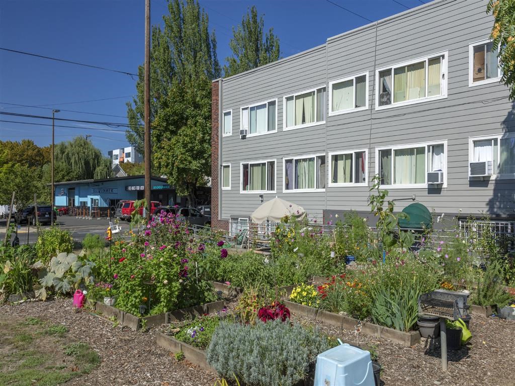 a garden in front of a building