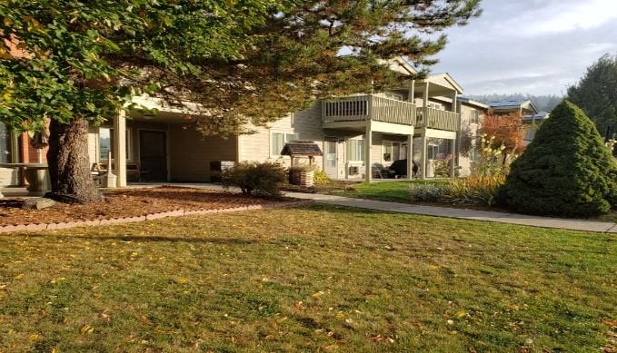 a house with a yard and a tree in front of it