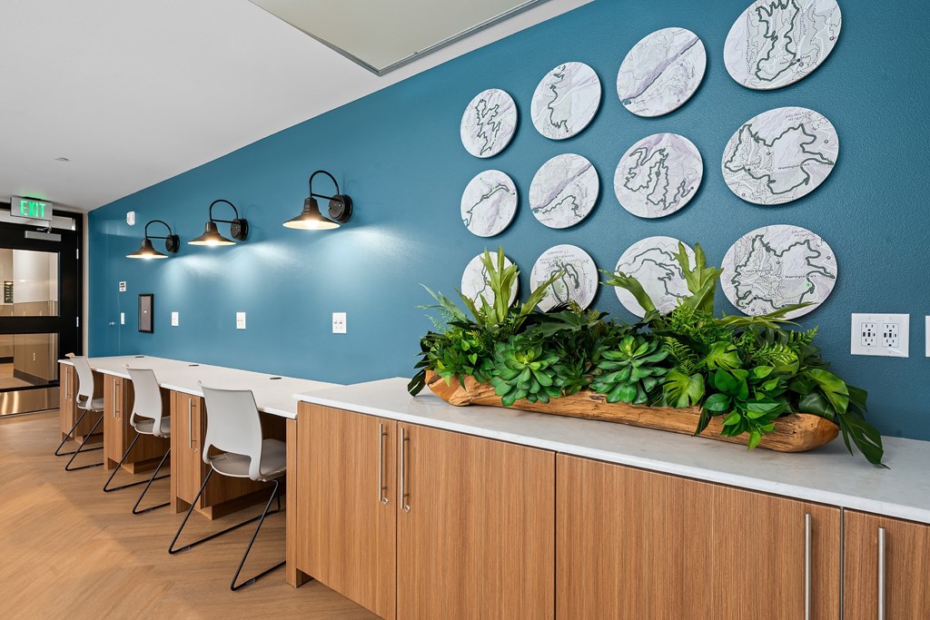 A row of white chairs are lined up in front of a blue wall with white circular drawings on it.