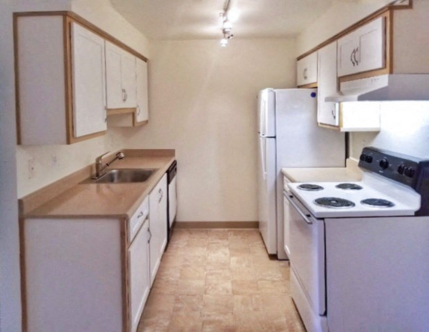 a kitchen with a stove refrigerator and a sink