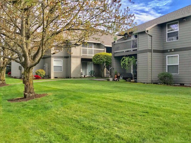 the backyard of an apartment building with grass and a tree