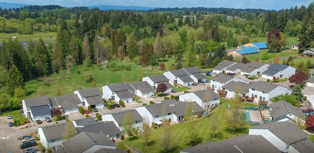 an aerial view of a neighborhood with houses and trees
