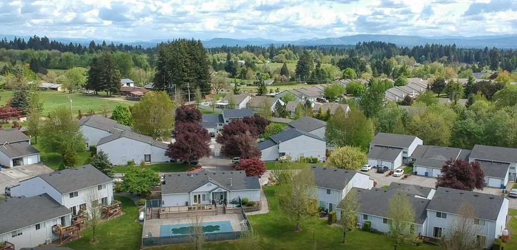 an aerial view of a neighborhood with houses and trees