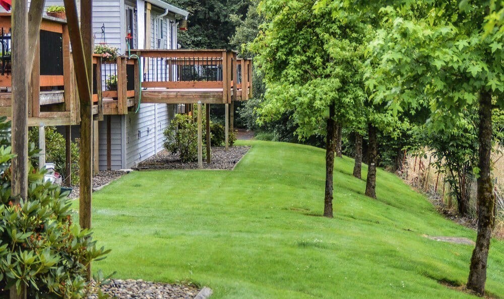 a yard with green grass and a house with a deck