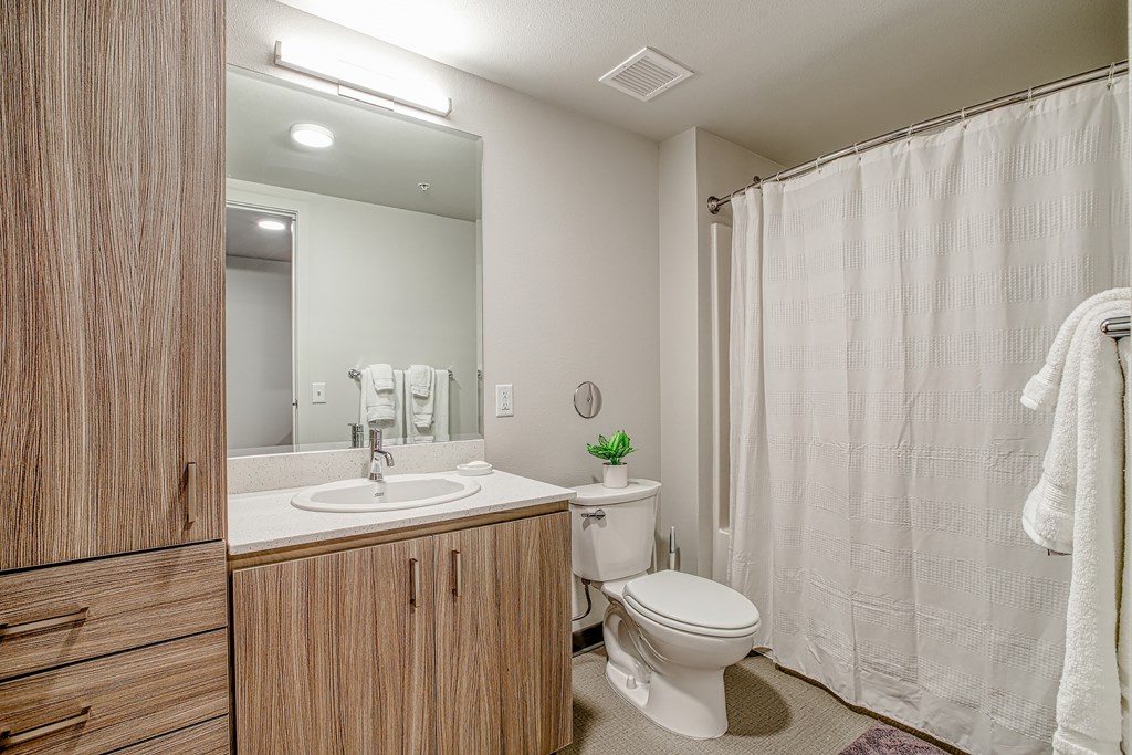 A bathroom with a white toilet, sink, and shower curtain.