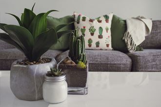 a living room with a couch and a table with plants on it