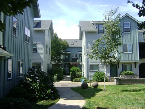 A tree in front of a building with a white door.