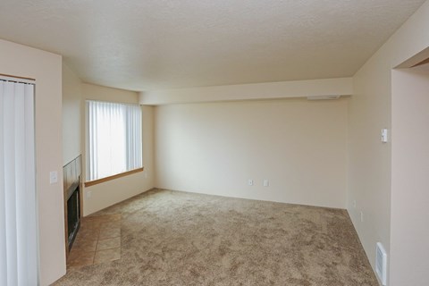 A living room with a carpeted floor and a window with blinds.