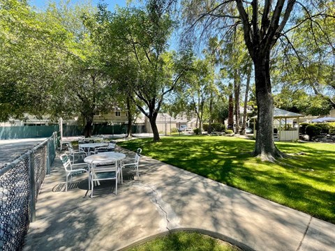 A patio with a table and chairs is surrounded by trees.