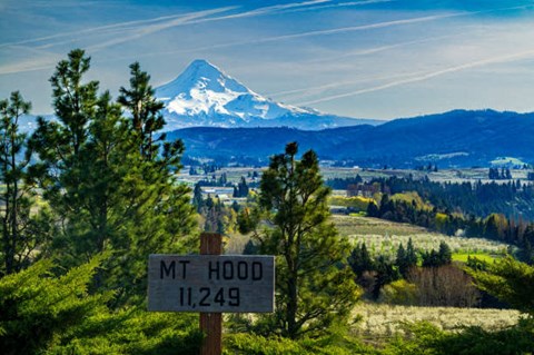 A sign in the foreground reads Mt Hood 11,249.
