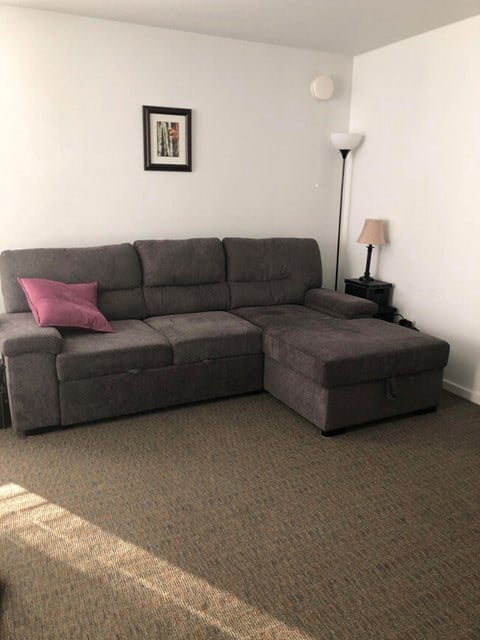 a living room with a gray couch and a pink pillow