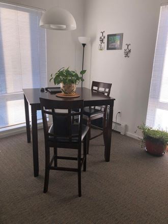 a dining room table with two chairs and a potted plant in the middle of the table