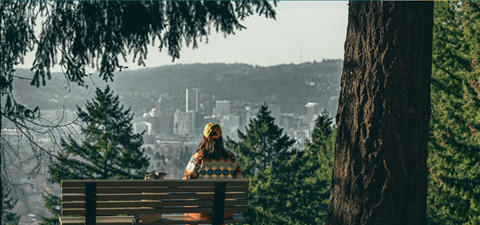 A person is sitting on a bench looking at a cityscape.