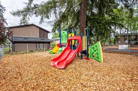 our playground is equipped with slides and a tree