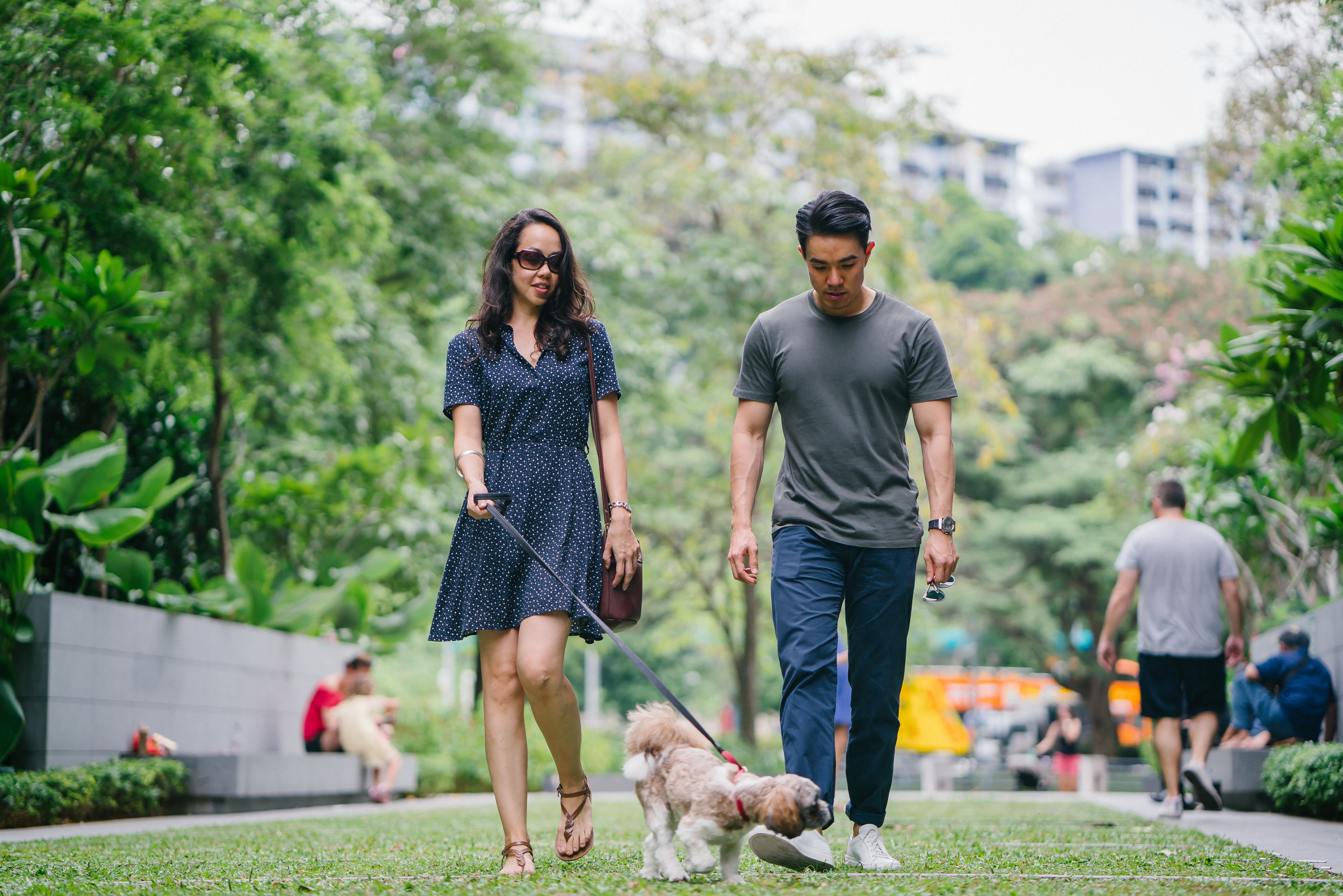 a man and a woman walking their dog