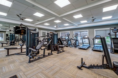 A gym with a variety of equipment including treadmills, stationary bikes, and weight machines.