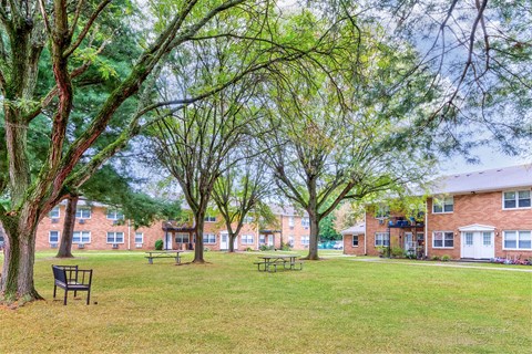 A park with benches and trees in front of apartment buildings.