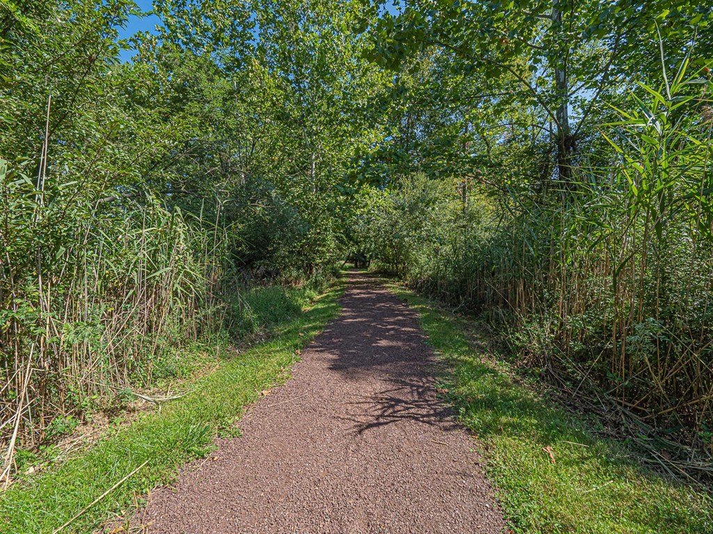 Nature Trail at Heritage Court, Ewing, New Jersey