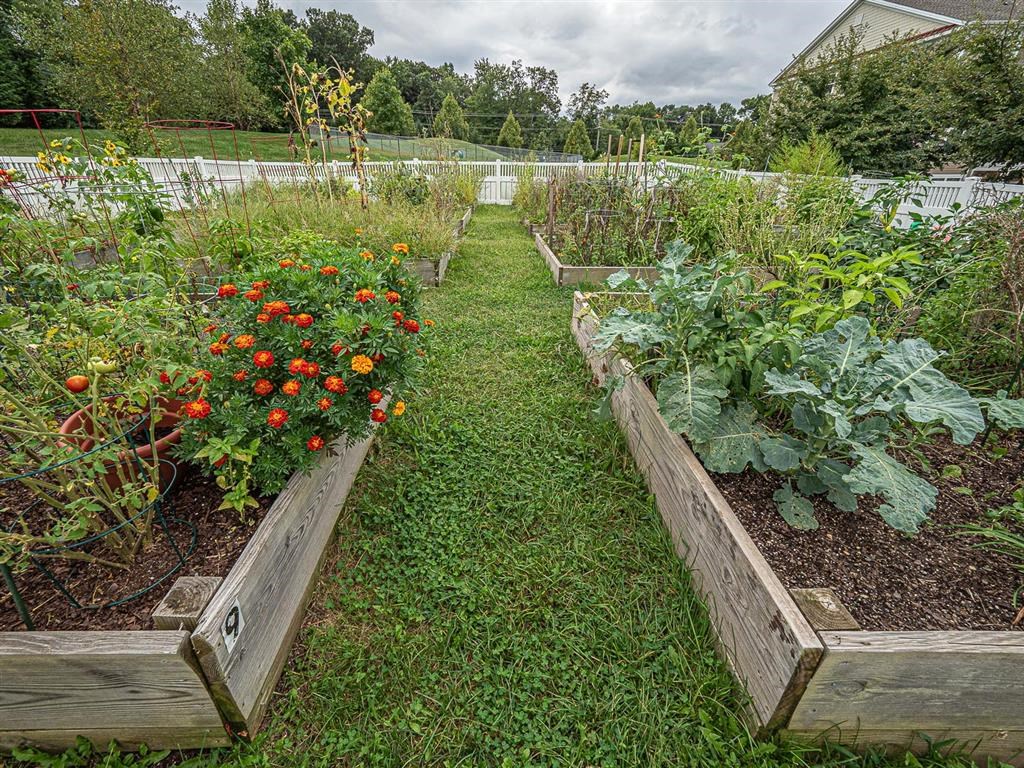 Courtyard Garden at New Britain, Chalfont