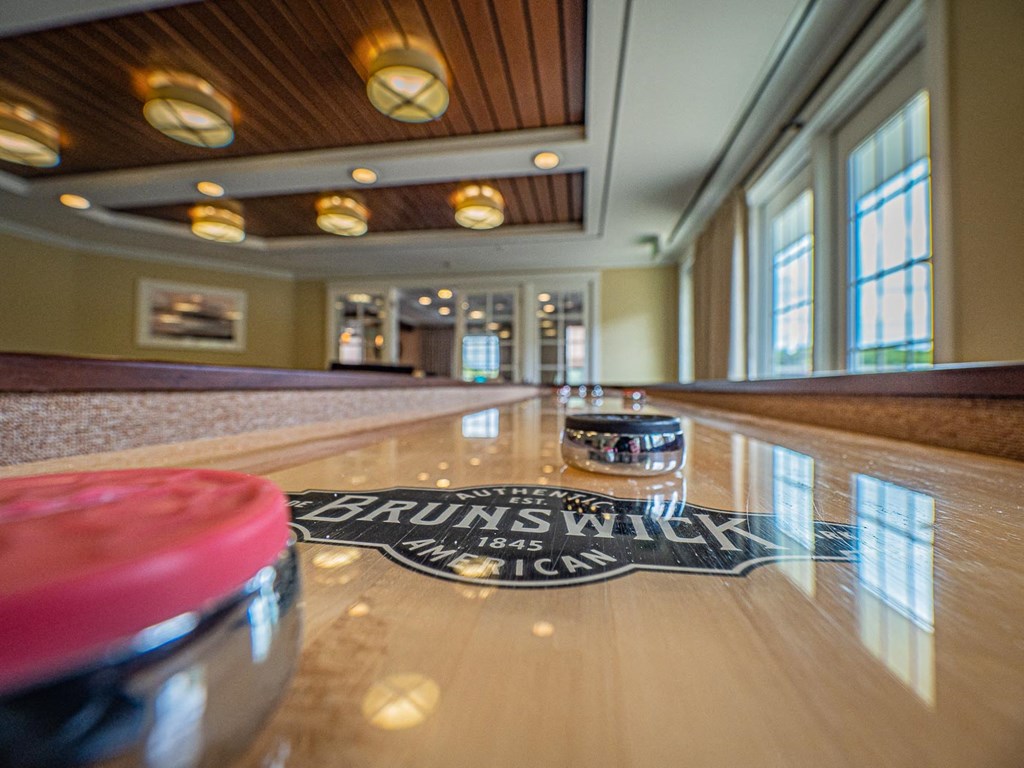 Shuffleboard Close-ups at Palmer View, Palmer Township, 18045