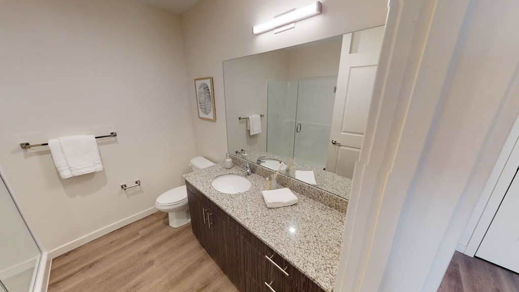 a bathroom with a sink and a toilet and a mirror