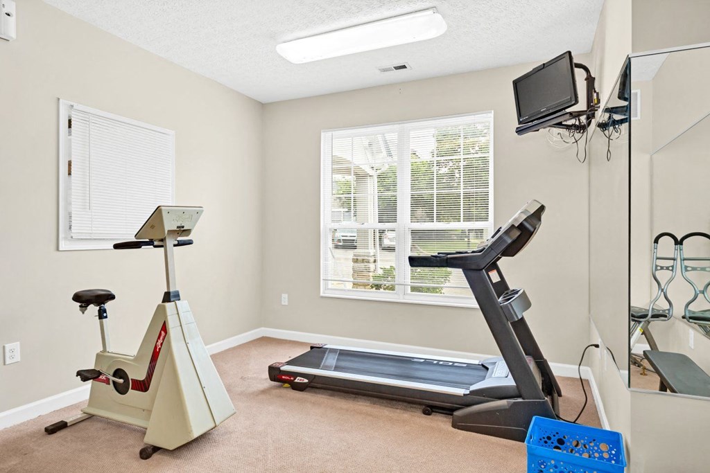 the gym in the owners home has a treadmill and a tv