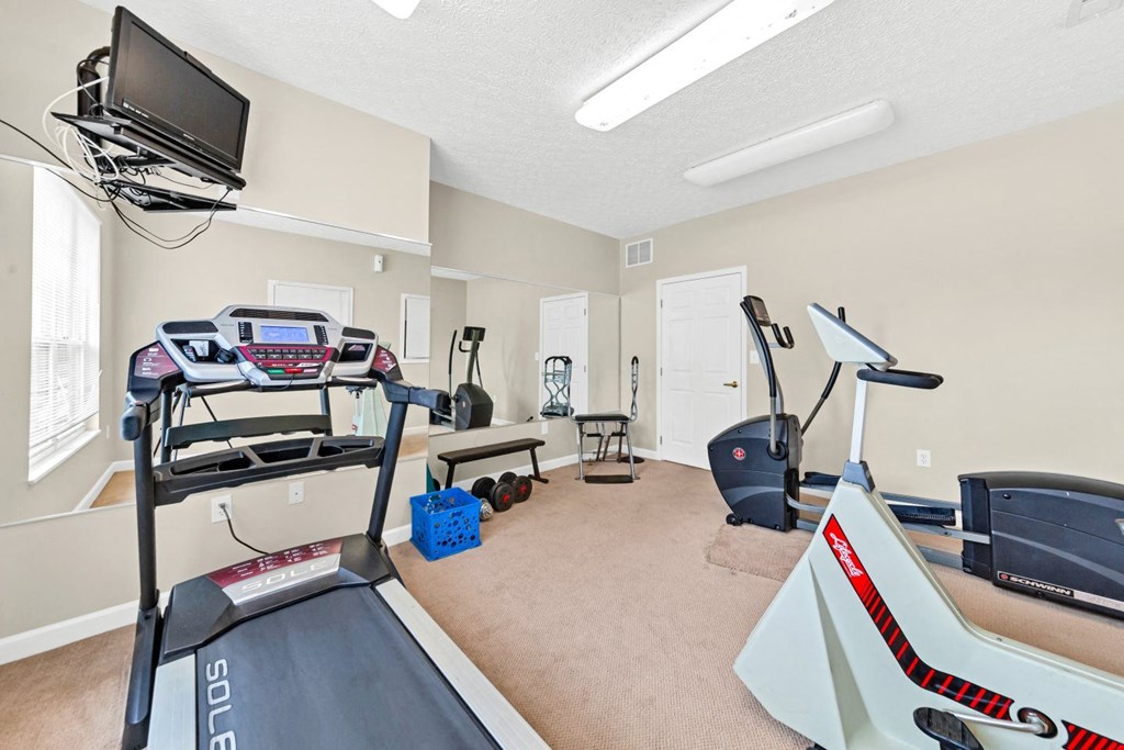 our gym has plenty of equipment for everyone to use