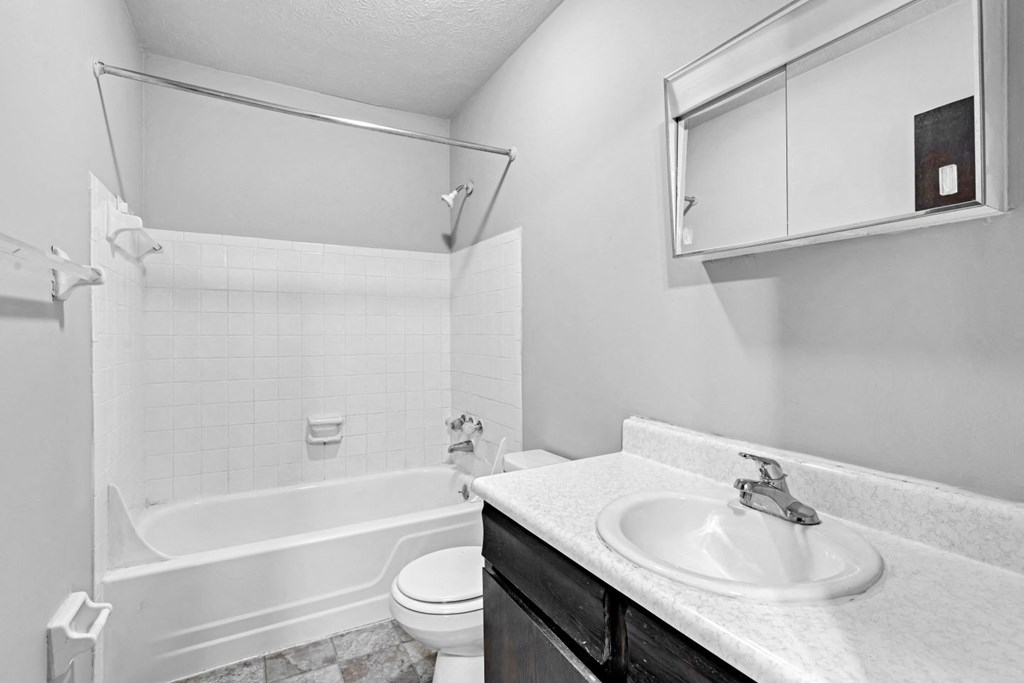 a bathroom with a sink and a toilet and a bath tub