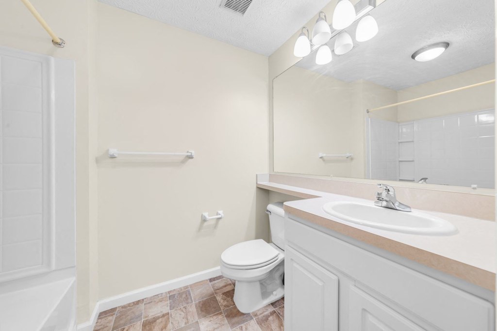 a bathroom with a sink and a toilet and a mirror