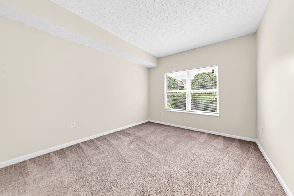 an empty living room with a window and carpet
