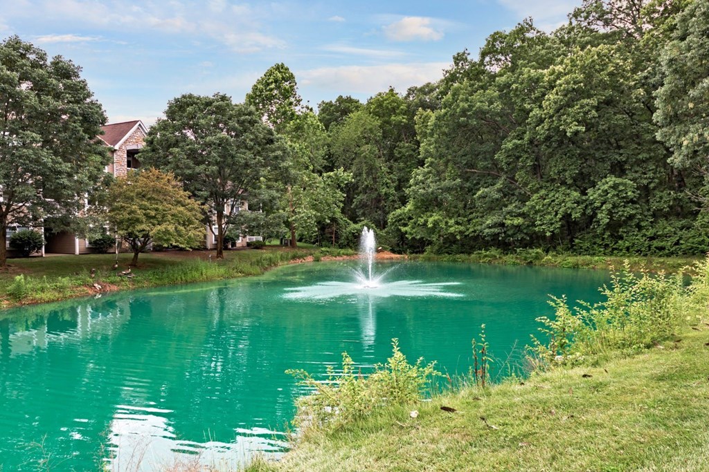 a fountain in the middle of a pond